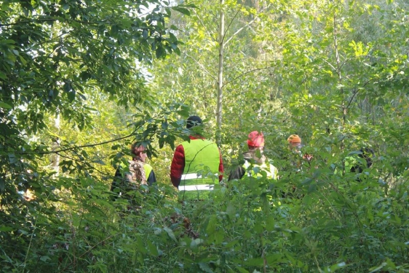 С начала года в Новгородской области в лесу заблудилось 73 человека