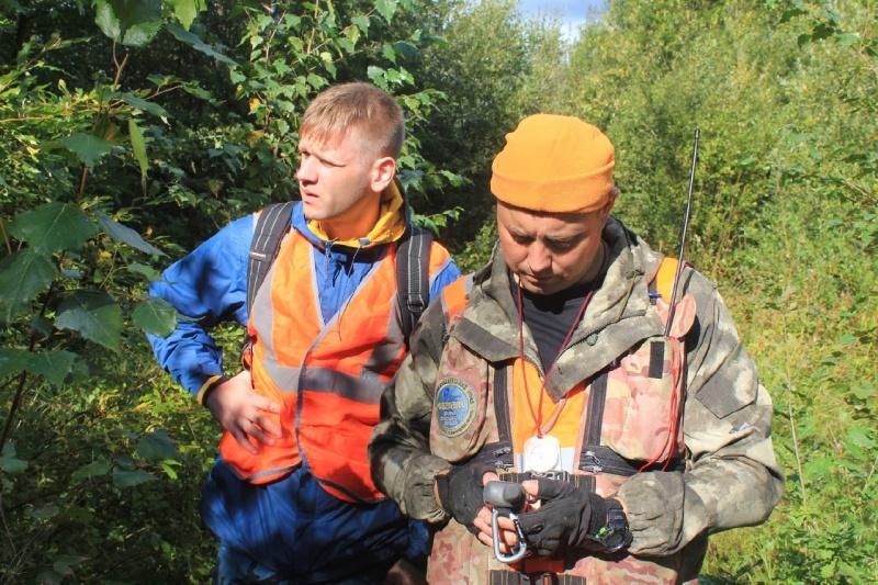 За сутки в новгородских лесах заблудились семь человек