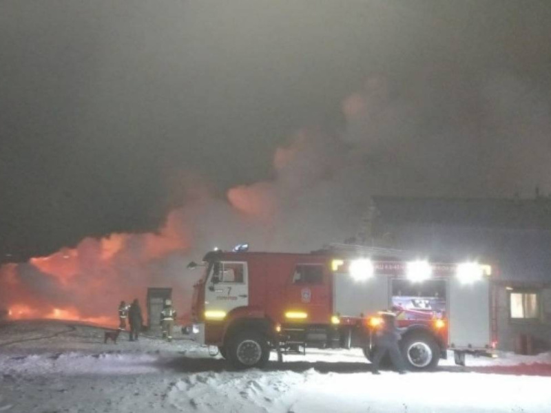 На пожаре в Старорусском районе спасли корову, лошадь, овец, козлят и двух собак