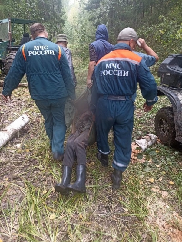 Пожилой мужчина блуждал в лесах Старорусского района девять дней