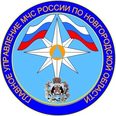 На контроле ГУ МЧС России по Новгородской области на 08.00 (мск) 07 июня 2024 года.