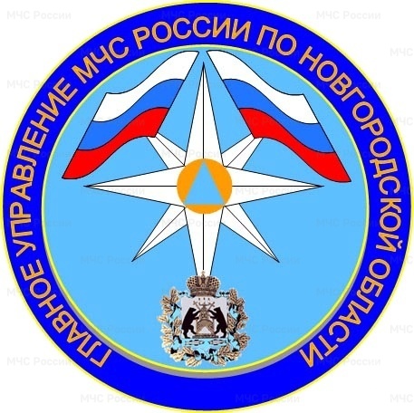 На контроле ГУ МЧС России по Новгородской области на 08.00 (мск) 13 июня 2024 года