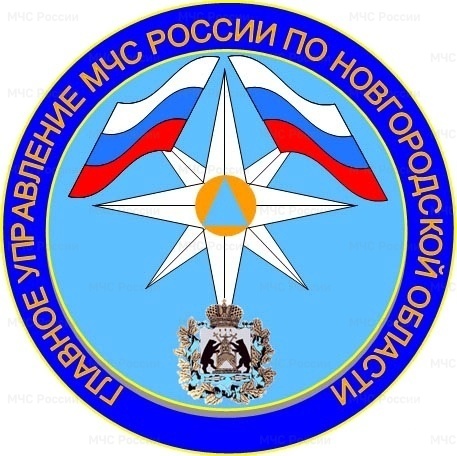 На контроле ГУ МЧС России по Новгородской области на 08.00 (мск) 03 августа 2024 года.